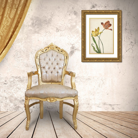 Two Tulips I Gold Ornate Wood Framed Art Print with Double Matting by Wang, Melissa