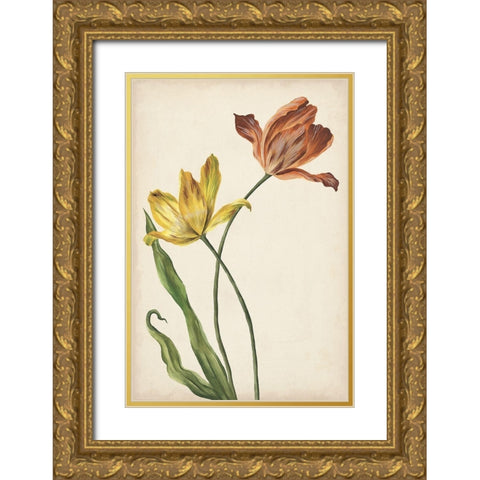 Two Tulips I Gold Ornate Wood Framed Art Print with Double Matting by Wang, Melissa