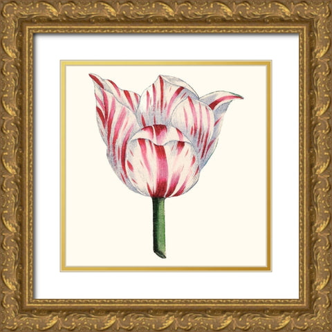 Tulip Garden I Gold Ornate Wood Framed Art Print with Double Matting by Vision Studio