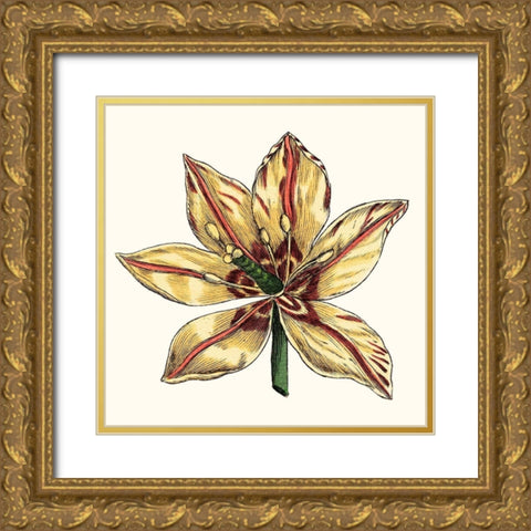 Tulip Garden V Gold Ornate Wood Framed Art Print with Double Matting by Vision Studio