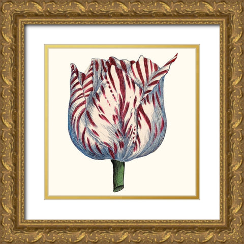 Tulip Garden VI Gold Ornate Wood Framed Art Print with Double Matting by Vision Studio