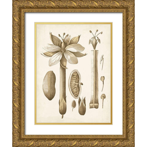 Ochre Botanical I Gold Ornate Wood Framed Art Print with Double Matting by Vision Studio