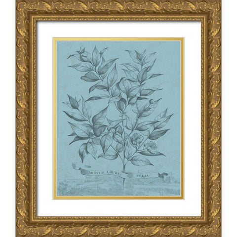 Botanical on Teal I Gold Ornate Wood Framed Art Print with Double Matting by Vision Studio