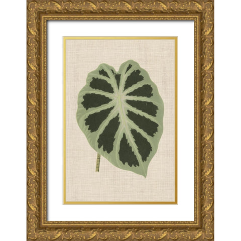 Leaves on Linen II Gold Ornate Wood Framed Art Print with Double Matting by Unknown