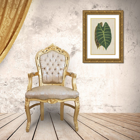 Leaves on Linen III Gold Ornate Wood Framed Art Print with Double Matting by Unknown