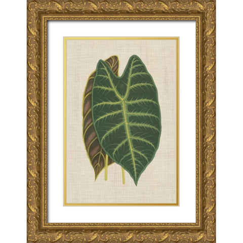 Leaves on Linen III Gold Ornate Wood Framed Art Print with Double Matting by Unknown