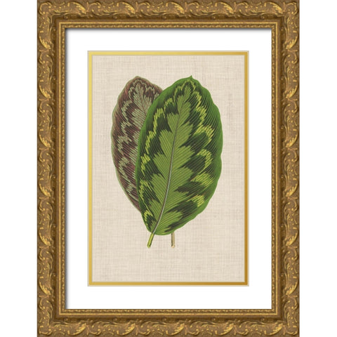 Leaves on Linen IV Gold Ornate Wood Framed Art Print with Double Matting by Unknown