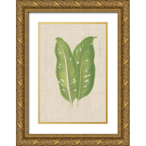 Leaves on Linen V Gold Ornate Wood Framed Art Print with Double Matting by Unknown