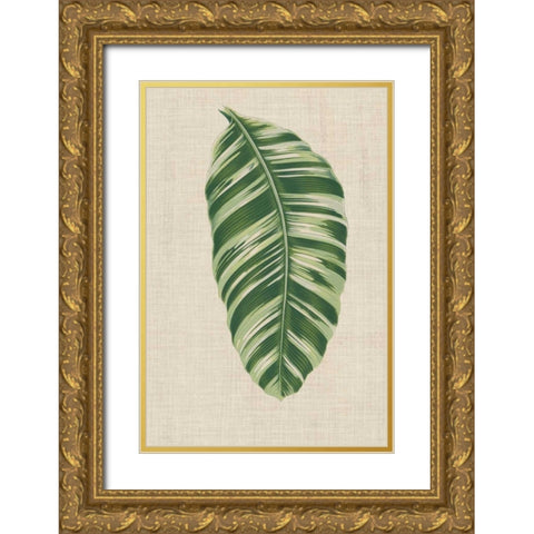Leaves on Linen VI Gold Ornate Wood Framed Art Print with Double Matting by Unknown