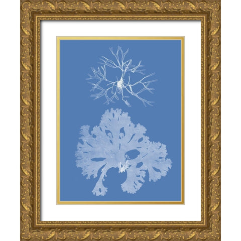 Seaweed Cyanotype III Gold Ornate Wood Framed Art Print with Double Matting by Vision Studio