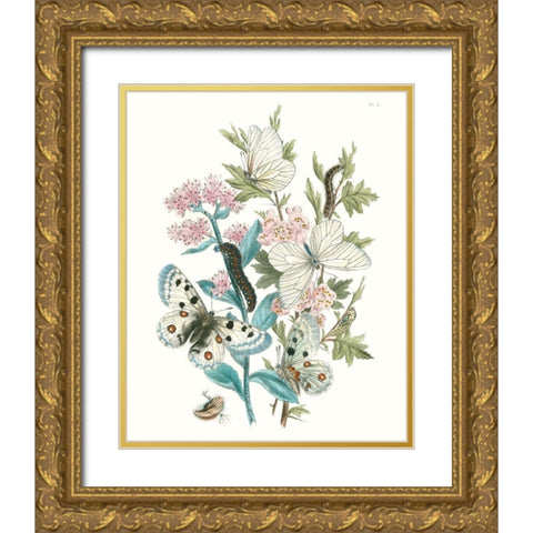 British Butterflies III Gold Ornate Wood Framed Art Print with Double Matting by Unknown