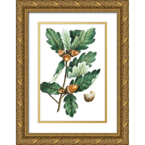 Douglas Oak Gold Ornate Wood Framed Art Print with Double Matting by Nuttall, Thomas