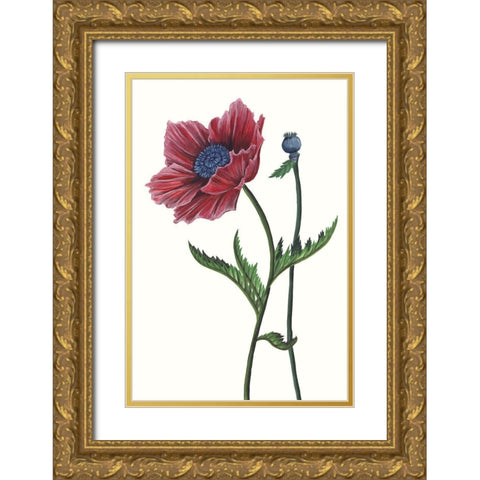 Poppy Flower II Gold Ornate Wood Framed Art Print with Double Matting by Wang, Melissa