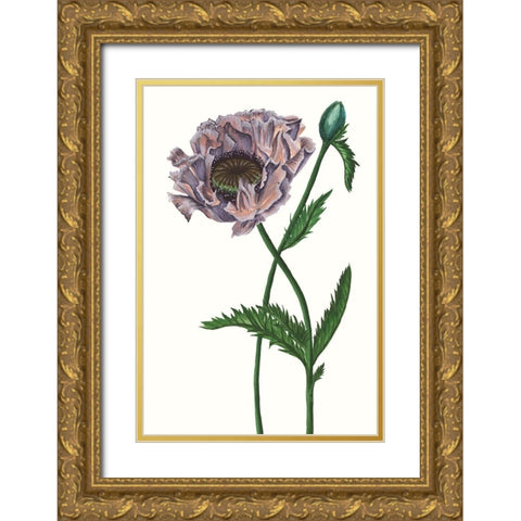 Poppy Flower IV Gold Ornate Wood Framed Art Print with Double Matting by Wang, Melissa