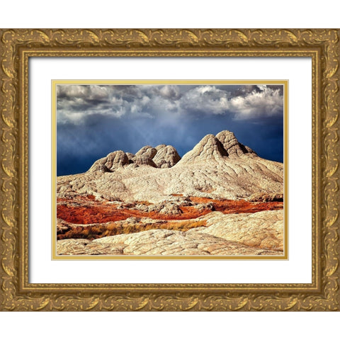 Valley Beauty I Gold Ornate Wood Framed Art Print with Double Matting by Drost, David