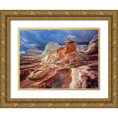 Valley Beauty II Gold Ornate Wood Framed Art Print with Double Matting by Drost, David