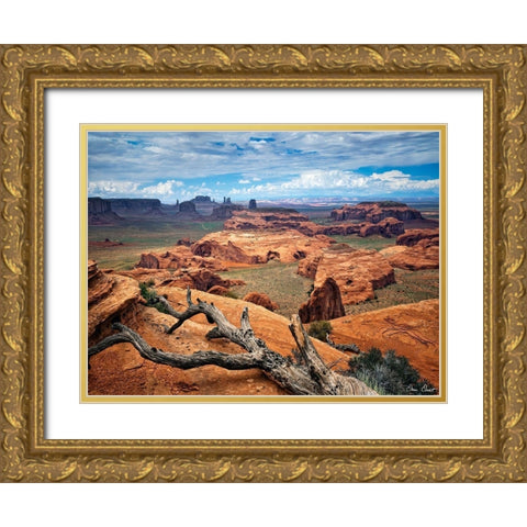 Valley Beauty VII Gold Ornate Wood Framed Art Print with Double Matting by Drost, David