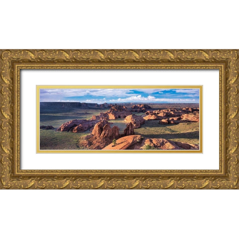 Valley Beauty VIII Gold Ornate Wood Framed Art Print with Double Matting by Drost, David