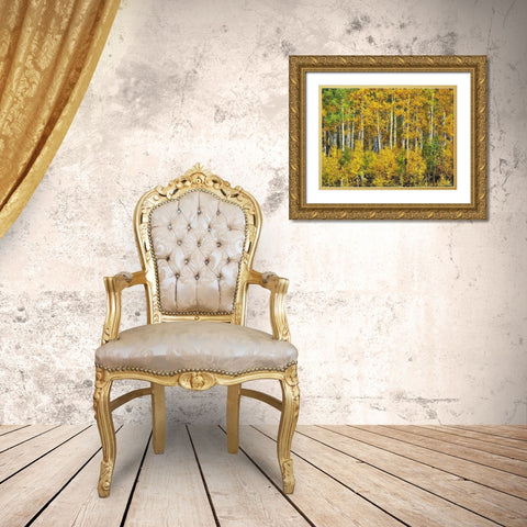 Yellow Woods III Gold Ornate Wood Framed Art Print with Double Matting by Drost, David