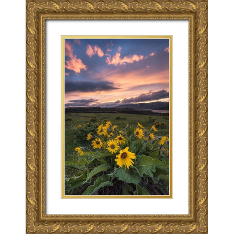 Sunset at the Gorge Gold Ornate Wood Framed Art Print with Double Matting by Head, Danny