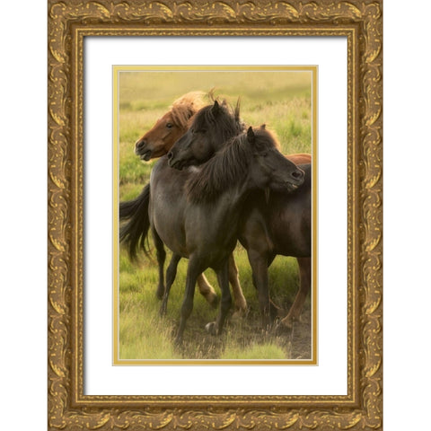 Play Time Gold Ornate Wood Framed Art Print with Double Matting by Head, Danny