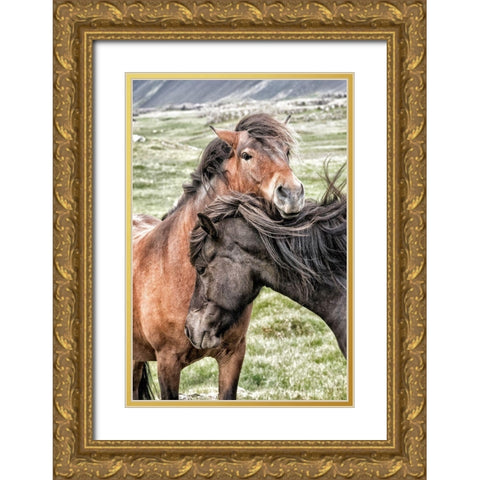 Best Friends Gold Ornate Wood Framed Art Print with Double Matting by Head, Danny