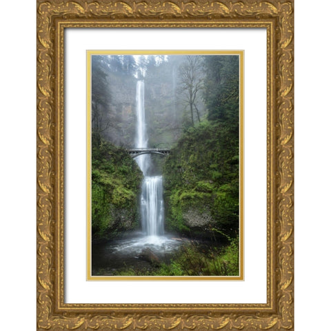 Dreamland Gold Ornate Wood Framed Art Print with Double Matting by Head, Danny