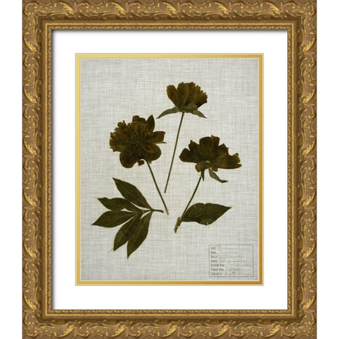 Pressed Leaves on Linen II Gold Ornate Wood Framed Art Print with Double Matting by Vision Studio