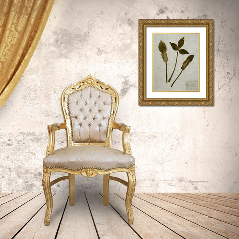 Pressed Leaves on Linen IV Gold Ornate Wood Framed Art Print with Double Matting by Vision Studio