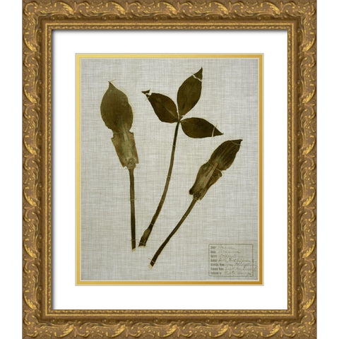 Pressed Leaves on Linen IV Gold Ornate Wood Framed Art Print with Double Matting by Vision Studio