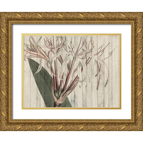 Rustic Floral I Gold Ornate Wood Framed Art Print with Double Matting by Studio W