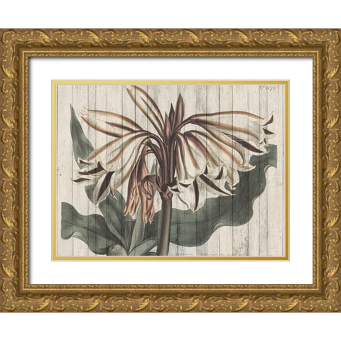 Rustic Floral III Gold Ornate Wood Framed Art Print with Double Matting by Studio W