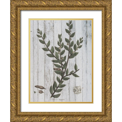 Rustic Greenery II Gold Ornate Wood Framed Art Print with Double Matting by Studio W