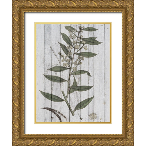 Rustic Greenery III Gold Ornate Wood Framed Art Print with Double Matting by Studio W