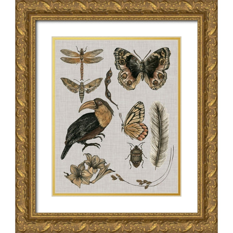 Nature Studies I Gold Ornate Wood Framed Art Print with Double Matting by Wang, Melissa