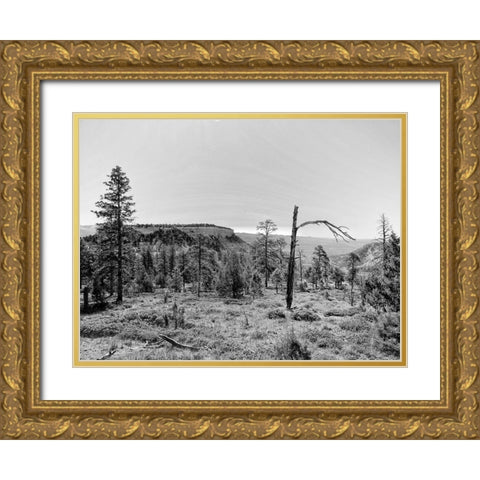 Canyon Lands V Gold Ornate Wood Framed Art Print with Double Matting by Guthrie, Jenna