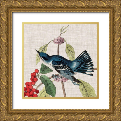 Avian Crop III Gold Ornate Wood Framed Art Print with Double Matting by Audubon, John James