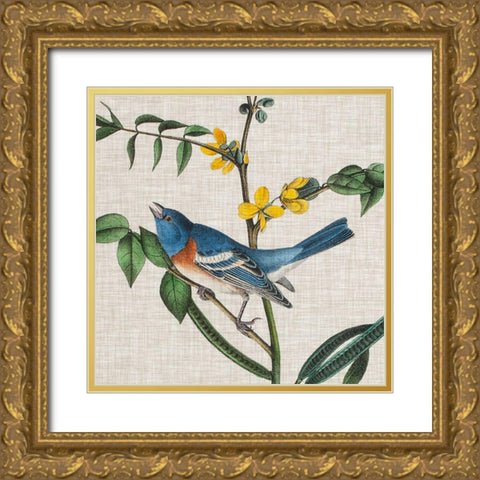 Avian Crop VIII Gold Ornate Wood Framed Art Print with Double Matting by Audubon, John James