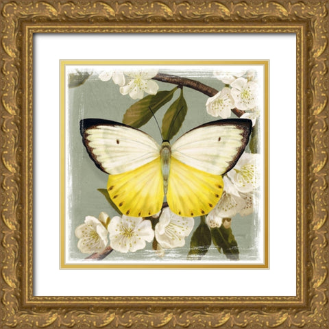 Butterfly Branch I Gold Ornate Wood Framed Art Print with Double Matting by Borges, Victoria