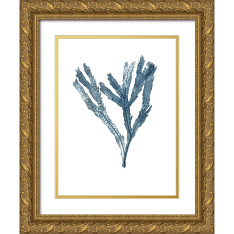 Seaweed Specimens on White I Gold Ornate Wood Framed Art Print with Double Matting by McCavitt, Naomi