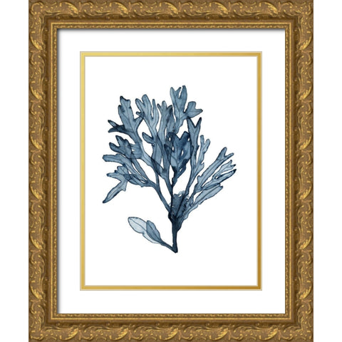 Seaweed Specimens on White II Gold Ornate Wood Framed Art Print with Double Matting by McCavitt, Naomi