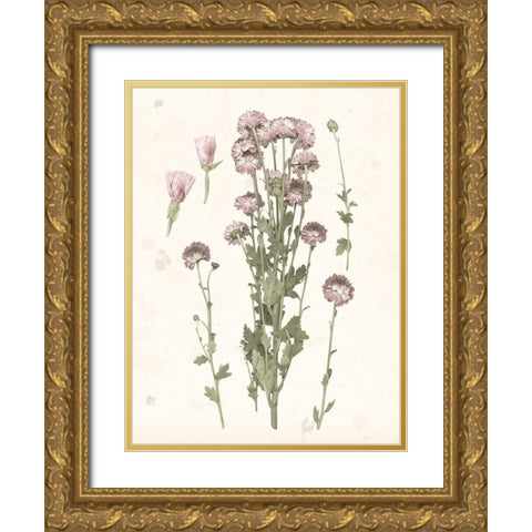 Pressed Blooms I Gold Ornate Wood Framed Art Print with Double Matting by Popp, Grace
