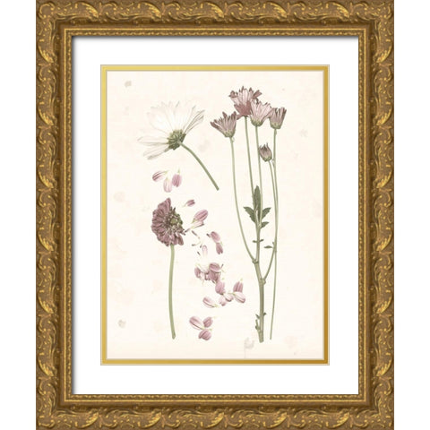 Pressed Blooms II Gold Ornate Wood Framed Art Print with Double Matting by Popp, Grace