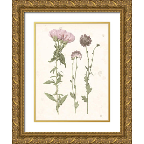 Pressed Blooms III Gold Ornate Wood Framed Art Print with Double Matting by Popp, Grace