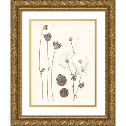 Pressed Blooms IV Gold Ornate Wood Framed Art Print with Double Matting by Popp, Grace