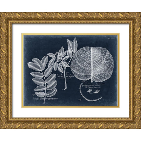 Foliage on Navy I Gold Ornate Wood Framed Art Print with Double Matting by Vision Studio