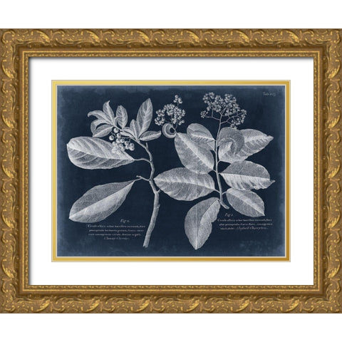 Foliage on Navy IV Gold Ornate Wood Framed Art Print with Double Matting by Vision Studio