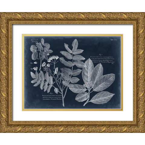 Foliage on Navy V Gold Ornate Wood Framed Art Print with Double Matting by Vision Studio
