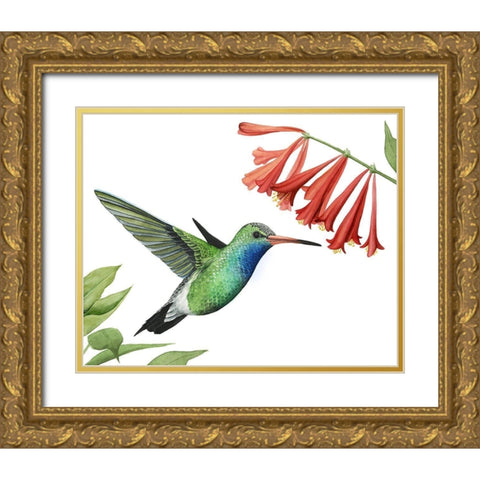 Hummingbird and Flower II Gold Ornate Wood Framed Art Print with Double Matting by Popp, Grace