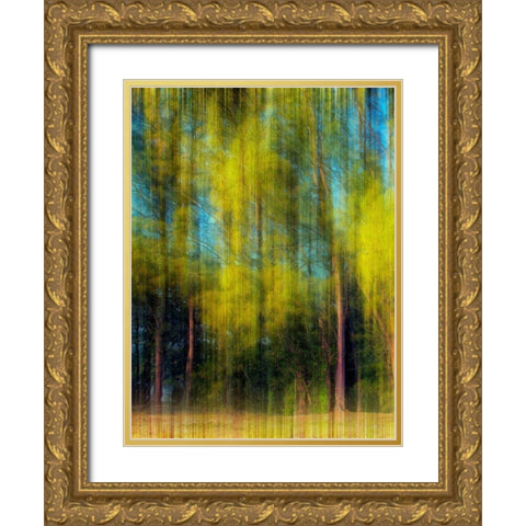 Tree Blur I Gold Ornate Wood Framed Art Print with Double Matting by Nall, Skip